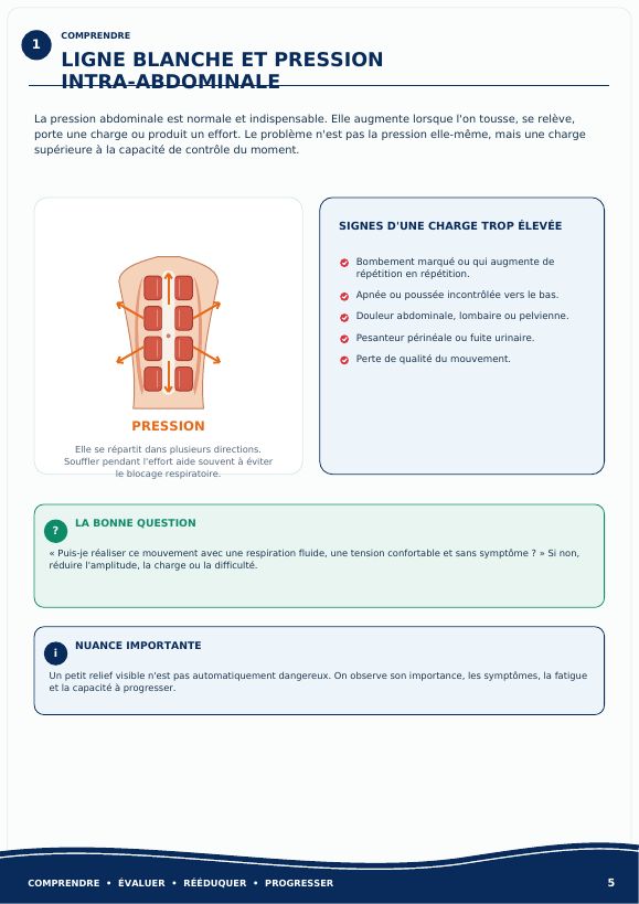 Aperçu 2 — Diastasis Musculaire — Comprendre et Corriger