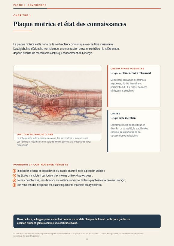 Aperçu 3 — Anatomie des Trigger Points