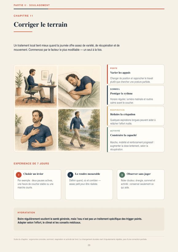 Aperçu 4 — Anatomie des Trigger Points