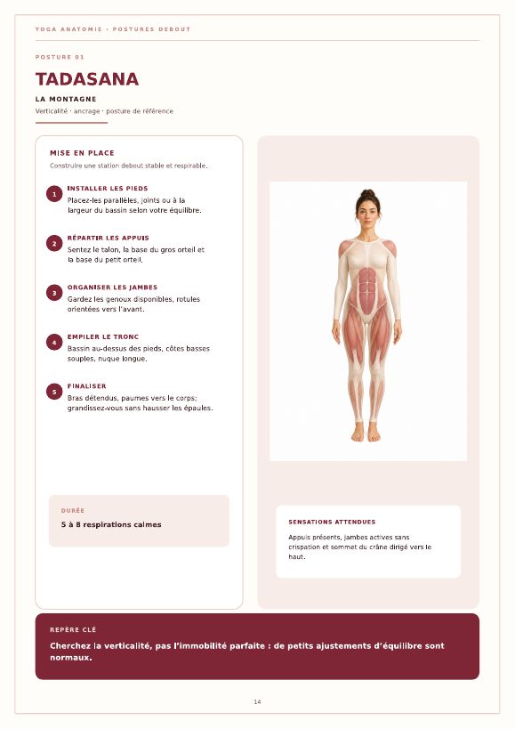 Aperçu 3 — Yoga Anatomie — 30 Postures Essentielles